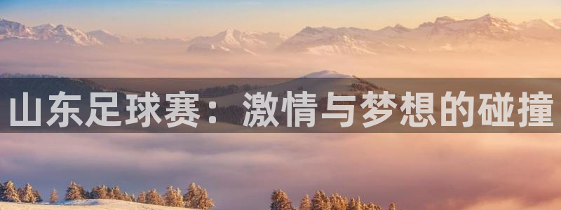 山东足球赛：激情与梦想的碰撞