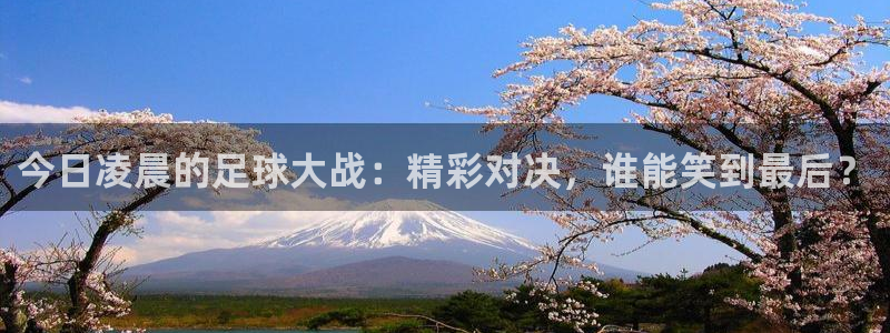 今日凌晨的足球大战：精彩对决，谁能笑到最
