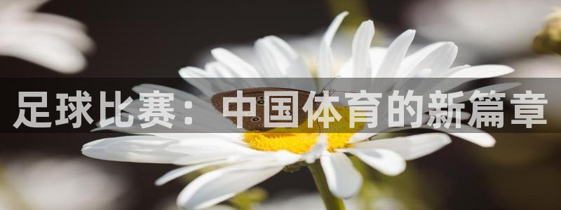 足球比赛：中国体育的新篇章