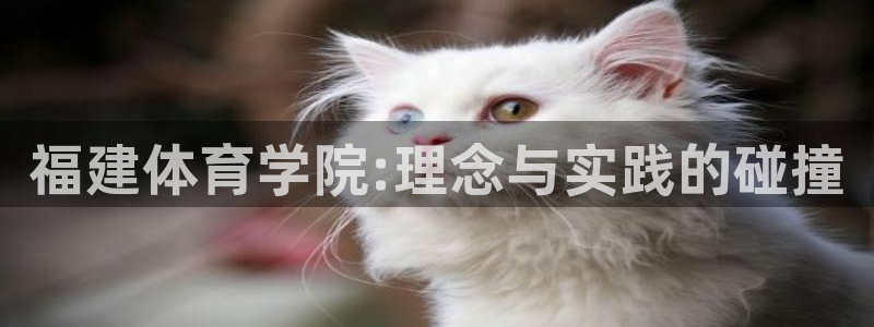 nba录像高清回放像98直播吧：福建体育