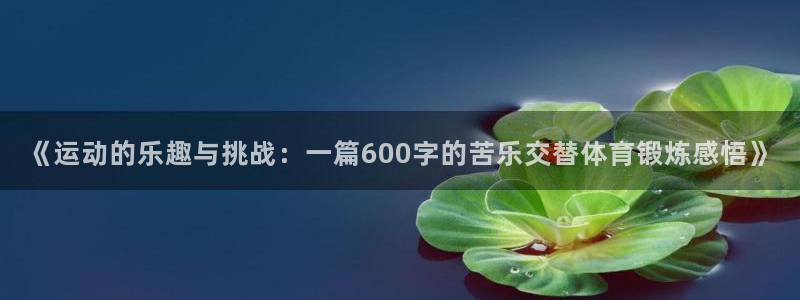 98直播篮球：《运动的乐趣与挑战：一篇6